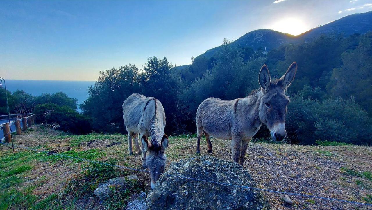 La Bomboniere & Spa Roquebrune-Cap-Martin Zewnętrze zdjęcie